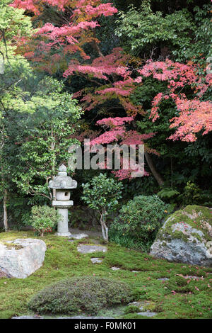 Jardin zen et d'érable, Hojo, Nanzen-ji (Temple bouddhiste), le nord de Higashiyama, Kyoto, Japon, Asie Banque D'Images