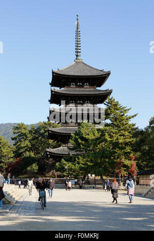 Five-Story Pagoda, Temple Kofuku-ji (Temple bouddhiste), Kansai, Nara, Japon, Asie Banque D'Images