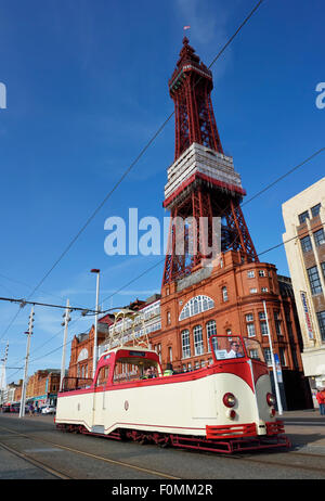 Vintage rouge et de crème ouvert à un seul étage surmonté le tram en face de la célèbre tour de Blackpool de Blackpool, Lancashire Banque D'Images