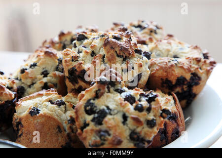 Des petits muffins aux bleuets Banque D'Images