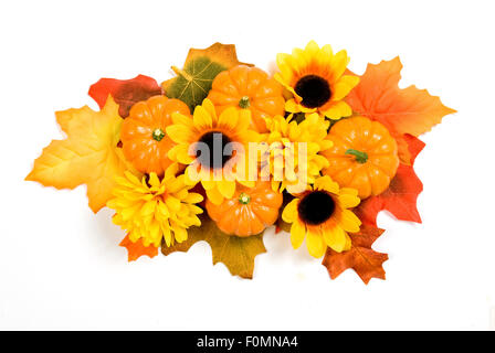 Pièce maîtresse de l'automne aux couleurs vives avec des citrouilles Banque D'Images