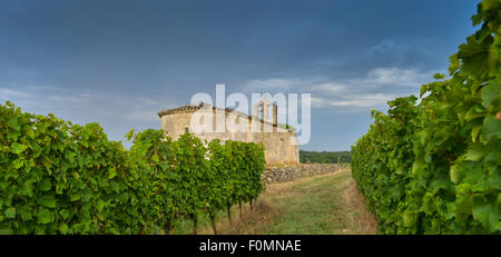 Vignoble et vieille église Sunrise - Paysage - vignoble de Bordeaux Banque D'Images