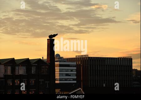 Glasgow, Ecosse, Royaume-Uni. 18 août, 2015. Glasgow City College de neuf campus Riverside ajoute à l'horizon de Glasgow alors que le soleil se couche sur la ville. Crédit : Tony Clerkson/Alamy Live News Banque D'Images