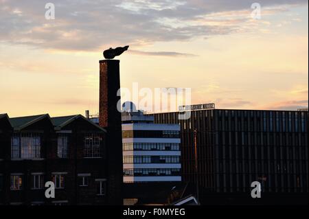 Glasgow, Ecosse, Royaume-Uni. 18 août, 2015. Glasgow City College de neuf campus Riverside ajoute à l'horizon de Glasgow alors que le soleil se couche sur la ville. Crédit : Tony Clerkson/Alamy Live News Banque D'Images