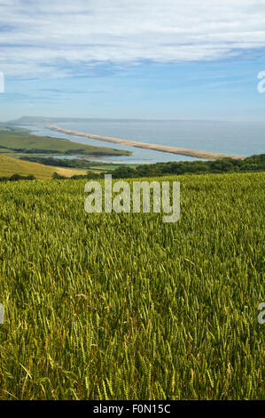 Vue verticale de Chesil Beach dans le Dorset. Banque D'Images