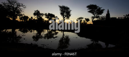 Tôt le matin, le lever du soleil dans les Dogons Land sur le lac et vue sur la mosquée du village, au Mali. Banque D'Images