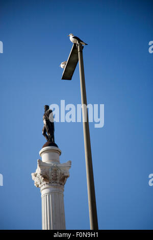 Le haut de la colonne portant la statue du Roi Pedro IV de Portugal, situé dans le Rossio, Praça Dom Pedro IV, Lisbonne et deux Banque D'Images