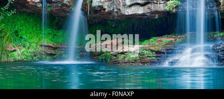 Une petite cascade se déversant dans le bassin de fougères dans le parc national de Karijini, dans l'ouest de l'Australie. Banque D'Images