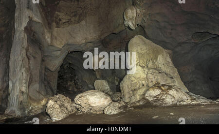 Grotte de stalactites, Kuala Tahan, le parc national de Taman Negara, Malaisie Banque D'Images