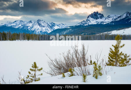 Avis de droits photo de petit lac de sébaste. Banque D'Images