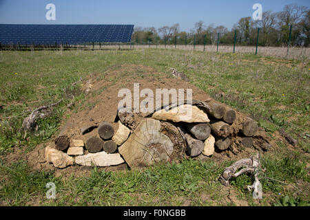 Hibernaculum ou colline artificielle de billes et du sol pour encourager l'hibernation des animaux tels que les hérissons à hiverner Banque D'Images