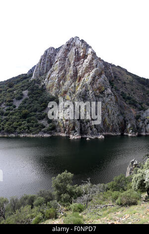 Salto del Gitano-Pena Falcon, vue pour les vautours dans le Parc National Monfrague, Estrémadure, Espagne. Banque D'Images