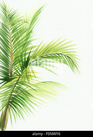 Les feuilles de palmier isolé sur fond blanc. Aquarelle originale. Banque D'Images