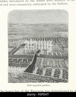 Image prise à partir de la page 346 de "Les États-Unis d'Amérique. Une étude de l'American Commonwealth, ses ressources naturelles, les gens, les industries, la fabrication, du commerce, et ses travaux dans la littérature, la science, l'éducation et l'autonomie gouvernementale. [Par divers auteurs.] Image prise à partir de la page 346 de "l'Organisation des États de Banque D'Images