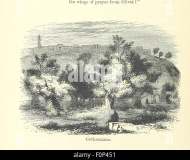 Image de la page 94 de 'Rambles in Bible Land', montrant des scènes des voyages de l'auteur dans les régions bibliques. Le livre comprend des descriptions de sites anciens, de paysages et de lieux historiques mentionnés dans la Bible. Banque D'Images