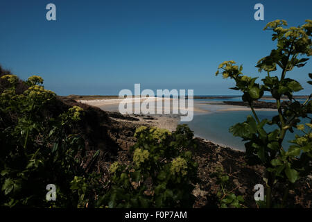 L'île de Herm situé au large de la côte de Guernesey Banque D'Images