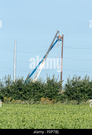 Les travailleurs d'Hydro sur crane travaillant sur des lignes de transport d'électricité juste en dehors de la forêt, de l'Ontario, Canada Banque D'Images