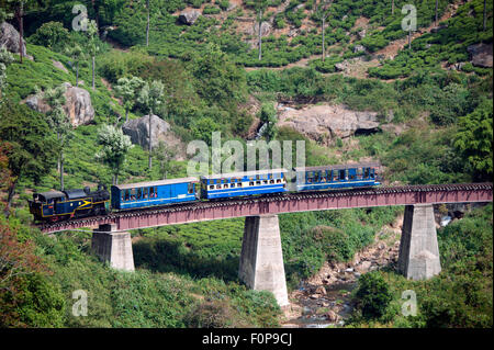 L'image a été tourné en Coonoor-India Banque D'Images