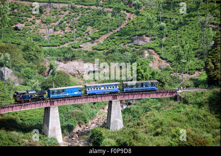 L'image a été tourné en Coonoor-India Banque D'Images