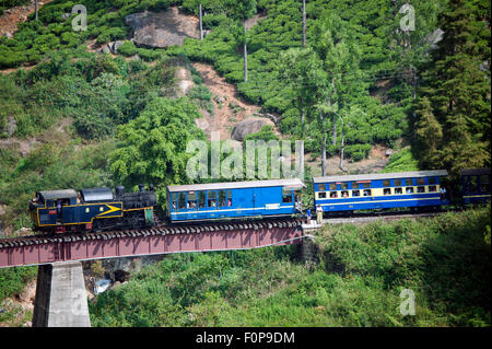 L'image a été tourné en Coonoor-India Banque D'Images