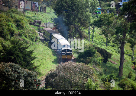 L'image a été tourné en Coonoor-India Banque D'Images