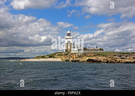 Le phare sur l'île de Coquet, déambulent, Northumberland Banque D'Images