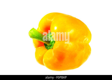 Seul poivron jaune-orange isolated on white Banque D'Images