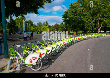 Partage de vélos publics Bubi Mol d' régime, l'île Margaret, Budapest, Hongrie Banque D'Images