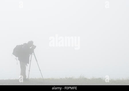 Photographe, Edwin Giesbers, au travail dans le brouillard de Wild Wonders of Europe mission, Liechtenstein, Juillet 2009 Banque D'Images