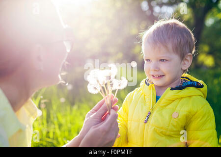 Mignon bébé garçon faisant un avec avant de sucer les pissenlits séchés dans mother's hands Banque D'Images