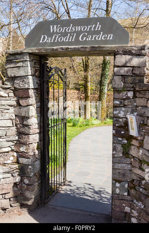 Entrée privée, jardin de la Jonquille Wordsworth Grasmere, Lake District, Cumbria, Angleterre Banque D'Images