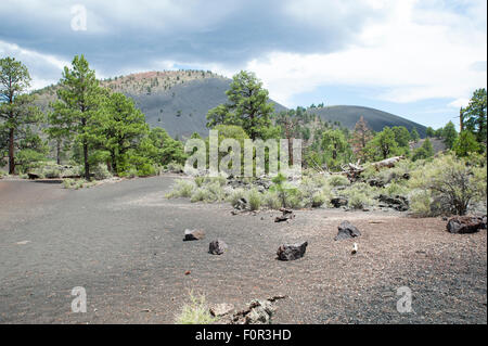 Sunset Crater Volcano National Monument près de Flagstaff, Arizona, USA Banque D'Images