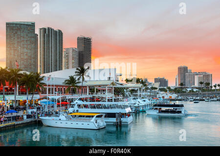 Miami, Bayside Mall at Dusk Banque D'Images