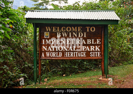 Gorilla trekking, inscrivez-vous à l'entrée du Parc National impénétrable de Bwindi, en Ouganda, l'Afrique Banque D'Images