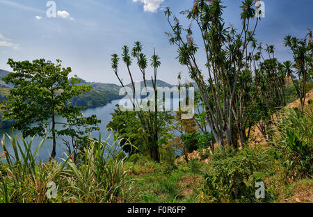 Lake Nkuruba, Bunyaruguru Région des lacs de cratère, l'Ouganda, l'Afrique Banque D'Images