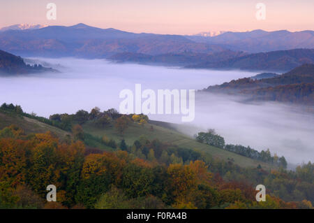 Paysage rural à l'aube à basse altitude, avec brouillard dans la vallée, près de Brasov, en Transylvanie, dans le sud du massif des Carpates, en Roumanie, en octobre 2008 Banque D'Images