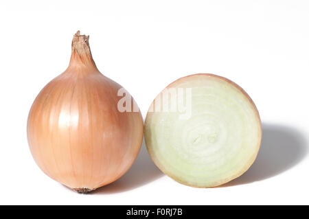L'oignon et la moitié de l'oignon isolé sur fond blanc Banque D'Images