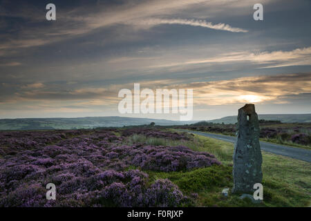 Ancienne voie romaine et post porte sur un revêtement Egton heather Moor, le North Yorkshire Moors, Août 2015 Banque D'Images