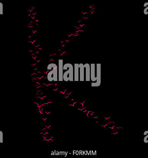 La Volée d'oiseaux dans la forme de la lettre k Banque D'Images