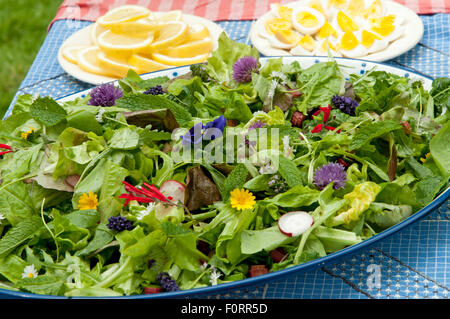 Salade du jardin avec fleurs comestibles, les Pays-Bas Banque D'Images