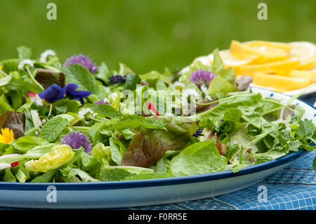 Salade du jardin avec fleurs comestibles, les Pays-Bas Banque D'Images