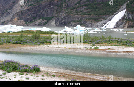 Mendenhall Glacier National Park dans la région de Juneau en Alaska Banque D'Images