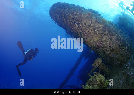 Mer Rouge, Egypte. 15 Oct, 2014. Diver à wreckship à Gianis D. Mer Rouge, Sharm El Sheikh, Egypte © Andrey Nekrasov/ZUMA/ZUMAPRESS.com/Alamy fil Live News Banque D'Images