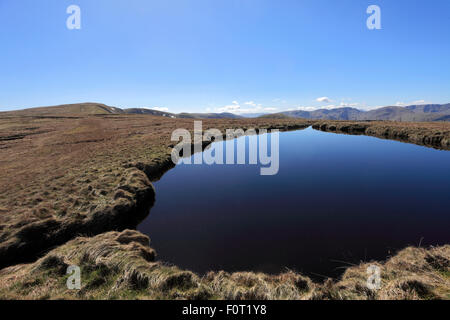 Printemps, Red Crag Tarn, haut soulever tomba, High Street, Martindale, vallée commune Parc National de Lake District, Cumbria, England, UK Banque D'Images