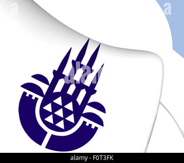 Armoiries d'Istanbul. Close Up. Banque D'Images