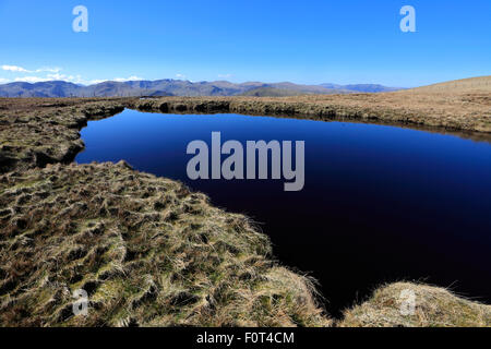 Printemps, Red Crag Tarn, haut soulever tomba, High Street, Martindale, vallée commune Parc National de Lake District, Cumbria, England, UK Banque D'Images