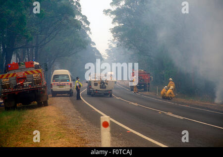 Les SERVICES DE POLICE ET D'INCENDIE STAND BY comme les feux de brousse s'approchent d'un autoroute, Sydney, NSW, Australie Banque D'Images