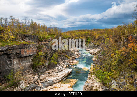 L'automne à Abisko canyon, Abisko National Park, Norrbotten, Laponie, Scandinavie, Suède Banque D'Images