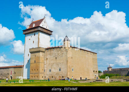 Hermanni Linnus, Hermann castle, Narva, comté d'Ida-Viru, est de l'Estonie, Europe Banque D'Images