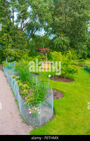 Jardins botaniques, Kasvitieteellin puutarha, Kaisaniemen puisto, parc Kaisaniemi, Helsinki,Finlande, Europe Banque D'Images